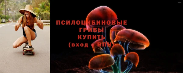 синтетический гашиш Карпинск